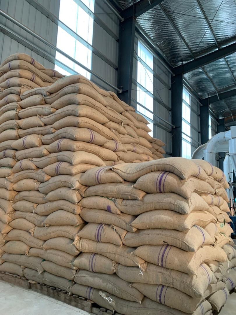 Coffee Sacks